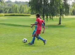 龙女重做发,技能增护盾,技能附恐惧,pg游戏官网登录入口,PG电子最新官网,pg游戏官网登录入口,pg电子游戏app