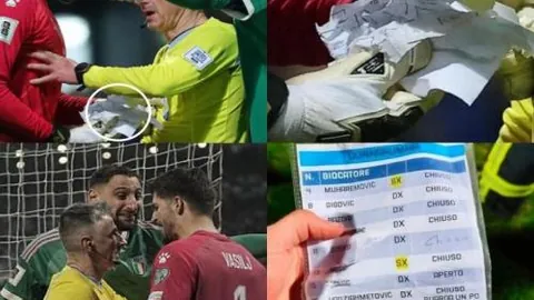 加拿大处理戴维斯重伤事件不当，德雷森要求全面调查