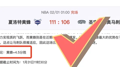 罗塞尼尔谈里斯詹姆斯摔倒争议：专家观点与比赛水平